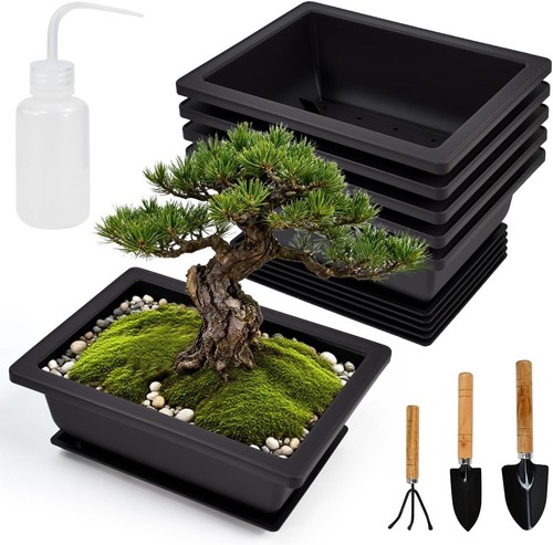 Stk bonsai schale kunststoff - stk,