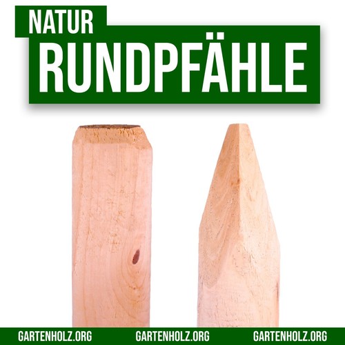 Pfahl pfosten holz - pfahl,