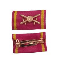 Blücher-Orden Interimspange