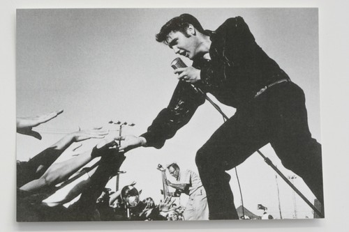 Elvis presley 1956 - elvis, tupelo