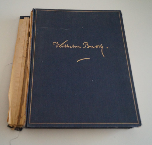 Buch wilhelm busch - buch,