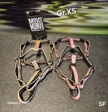 Hundezubehör - Hundegeschirr