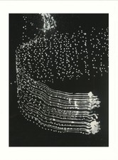 Sigmar Polke Druck ohne Titel