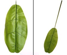 Bananenblatt 130cm aus