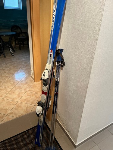 Alpin ski slalom carver - alpin,