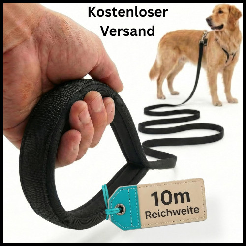 Hund ist könig schleppleine - hund,