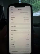 Apple iPhone XS Max A2101 64GB Silber Dual-SIM