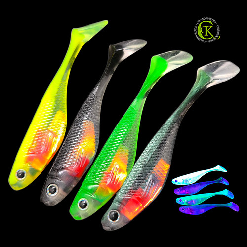 Minnow shad runner - minnow,
