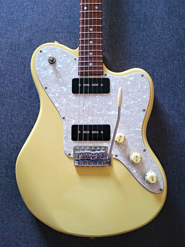Fernandes native custom - fernandes,