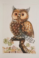 Simon Dittrich/Farbradierung/  250 Exemplare / Eule/  handsigniert/2