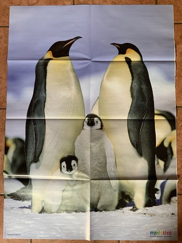 Medizini poster - medizini,