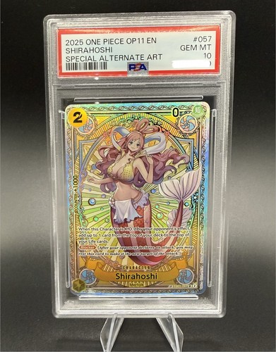 2025 one piece shirahoshi - one,