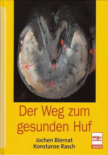 Biernat der weg zum gesunden - der,