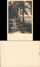 Steegen Stegna Partie am Dorf