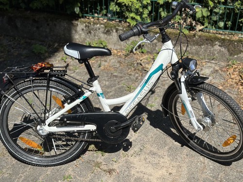 Pegasus avanti zoll - pegasus, 20