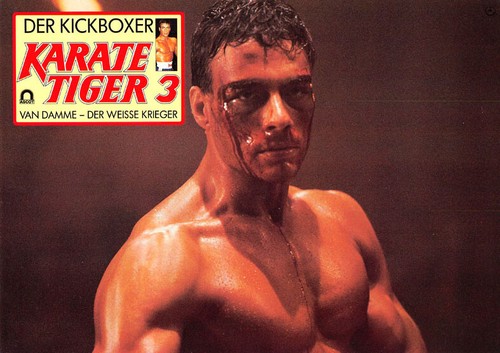 Karate tiger der kickboxer - der,