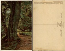 Alfred Schwarz: Im frischen, grünen Wald color Künstlerkarte 1915