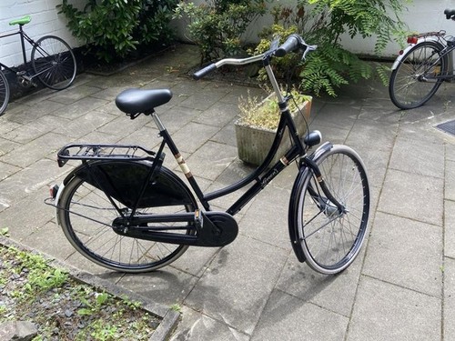 Green retro hollandrad - hollandrad, /