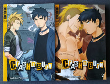 Crash 'n' Burn, Band 1-2 Manga