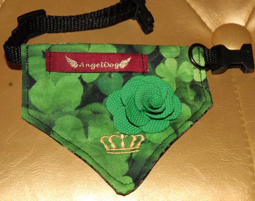 9809_Angeldog_Hundekleidung_Hu