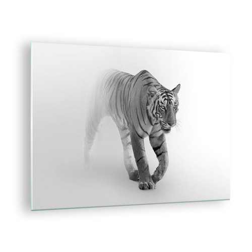Wandbilder 70x50cm glasbild - wandbilder,