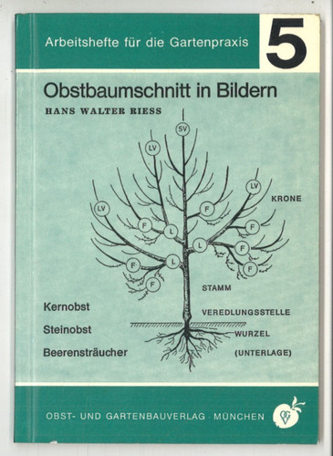 Obstbaumschnitt bildern - obstbaumschnitt, in