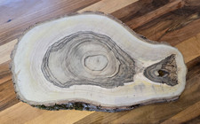 Nussbaum  Baumscheibe massiv