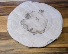Baumscheibe  Esche    Ø ca 34