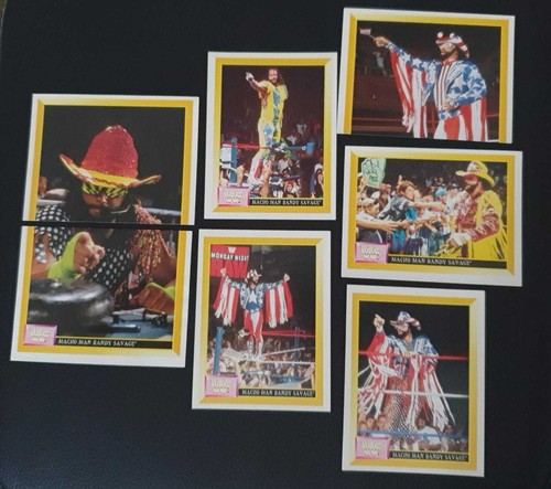 Wwf sticker merlin 1993 - 1993, (9)