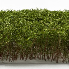 Hohes Gebüsch - Hellgrün -