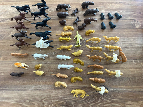 Sammlung