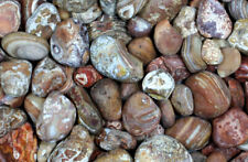 Achat Bahia-Achat Naturachat Knollen, ab 300 g. (1 kg = 20,80 €)