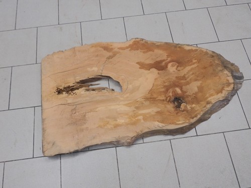 Platane plantanen brett holz - platane,