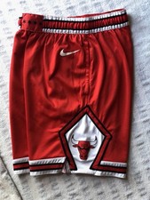 Nike Performance Chicago Bulls