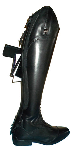 Mountain horse leder reitst - horse,