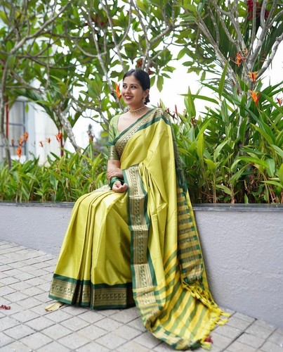 Decent fabric saree wedding - fabric,