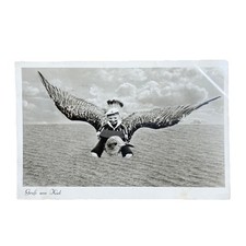 Postkarte AK Kiel Adler