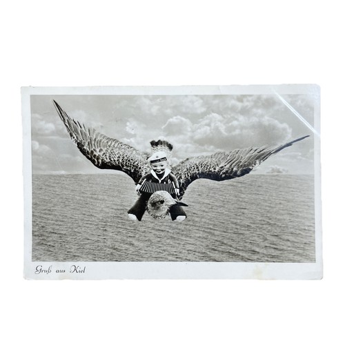 Postkarte kiel adler - postkarte,