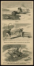 Original holzstich 1883 - holzstich,