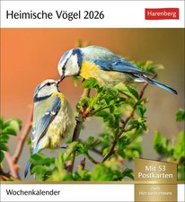 Heimische Vögel