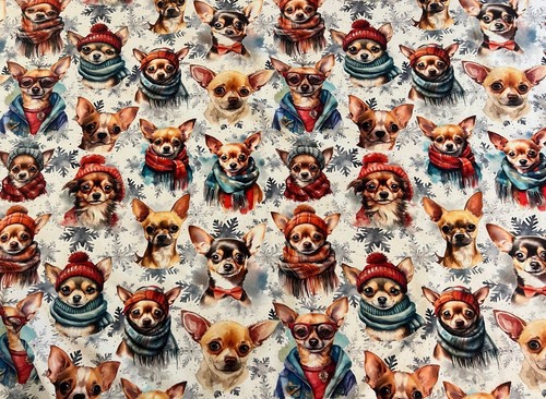 Sommersweat chihuahua - cm,