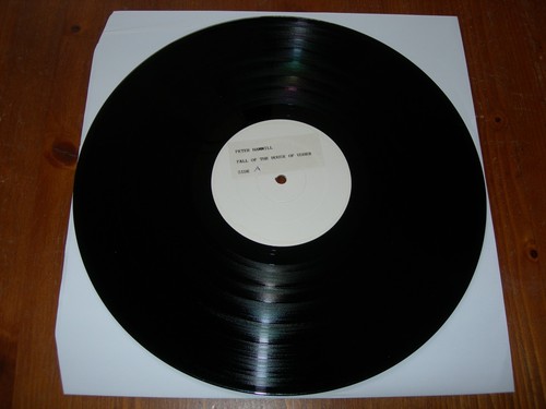 Peter hammill the fall - peter,