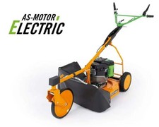 AS Motor AS 21 EAllmäher Hochgras-Rasenmäher