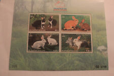 Thailand 1999 Hauskaninchen