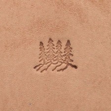Mountain Top  And Pine Trees