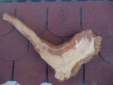 Baumscheibe Ast , Holzscheibe