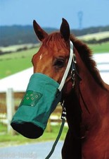 Futtersack mit Halsriemen   Futterbeutel mit Luftlöcher grün DHL Versand Neu