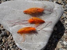 3 St. MARK`S MALLARD-SHRIMP