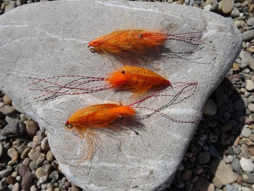 Mark s mallard shrimp - 3, mallard-shrimp