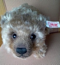 31 cm Steiff Ltd Ed 2011 JA/NEIN Grizzlybär Goldknopf & White Label 174/1500